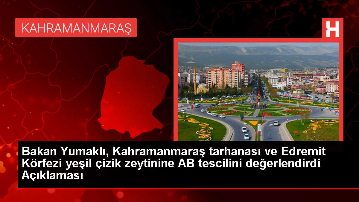 Kahramanmaraş Tarhanası ve Edremit Körfezi Yeşil Çizik Zeytini AB'den Coğrafi İşaret Tescili Aldı