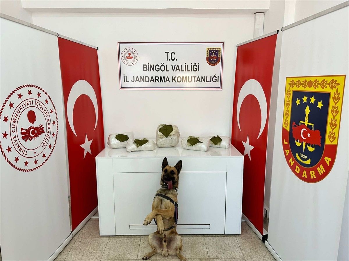 Bingöl'de 13 Kilogram Esrar Ele Geçirildi, 3 Şüpheli Gözaltına Alındı