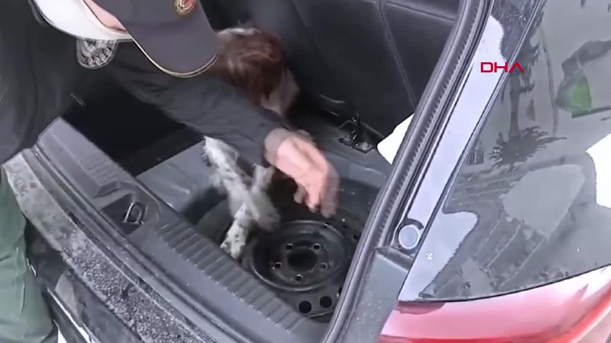 Denizli'de Otomobilde 4 Bin 980 Ecstasy Hap Ele Geçirildi