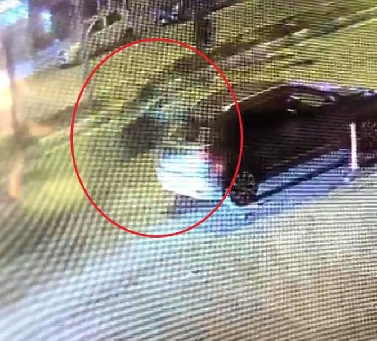 Diyarbakır'da Motosiklet Kazası: Kadın Hayatını Kaybetti, Sürücü Serbest Bırakıldı
