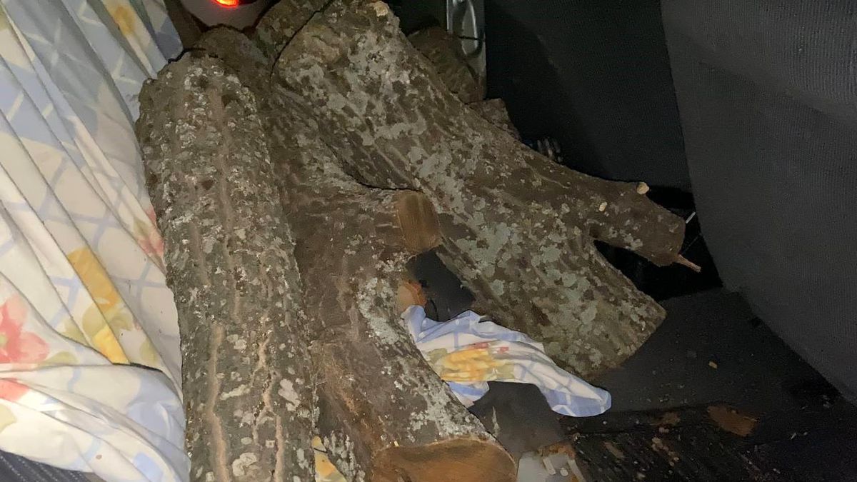 Çorum'da Pide Salonuna Ait Odunları Çalan Şahıs Suçüstü Yakalandı