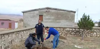 Yunak'ta Organik Okul Bahçem Projesi kapsamında Yavaşlı Mahallesi İlkokulu bahçesine ceviz ve badem ağaçları dikildi