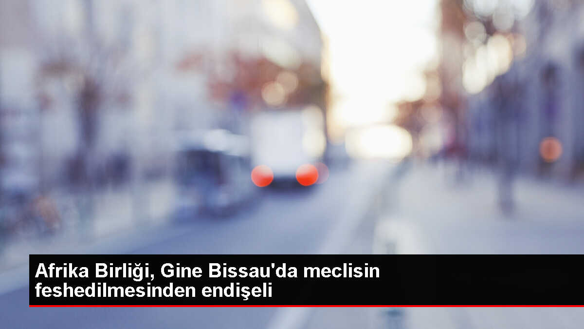 Afrika Birliği Komisyonu Başkanı Gine Bissau'daki Şiddet Olaylarını Kınadı