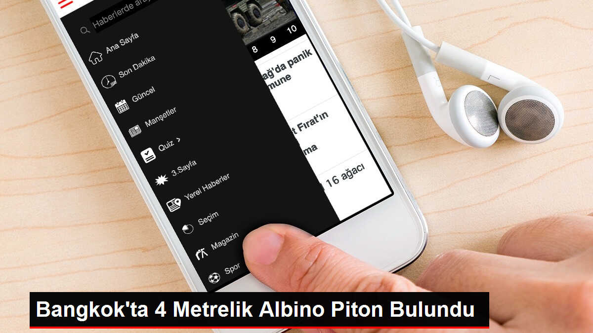 Bangkok'ta 4 Metrelik Albino Piton Bulundu