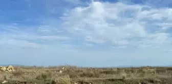 Biga'da devrilen otomobilin sürücüsü yaralandı