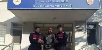 Gemlik'te PKK üyesi yakalandı