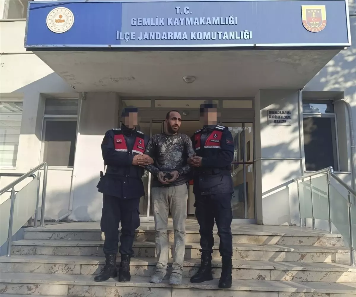 Gemlik'te PKK üyesi yakalandı