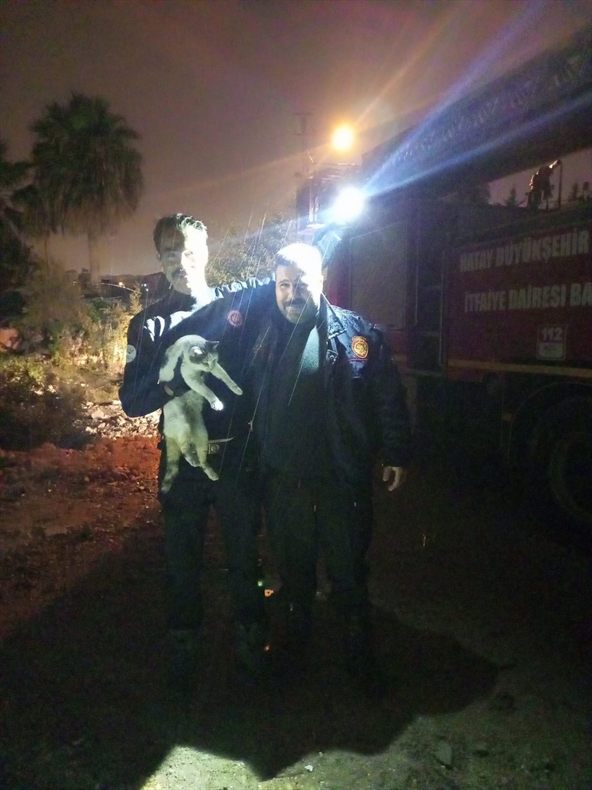 Hatay'da mahsur kalan kedi itfaiye tarafından kurtarıldı