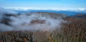 Kastamonu'da sisli kara yolu ve ormanlık alanlar dron ile görüntülendi