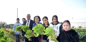 Antalya'da Engelliler Günü etkinliği: Özel öğrenciler tarım lisesi öğrencileriyle birlikte ürünleri topladı