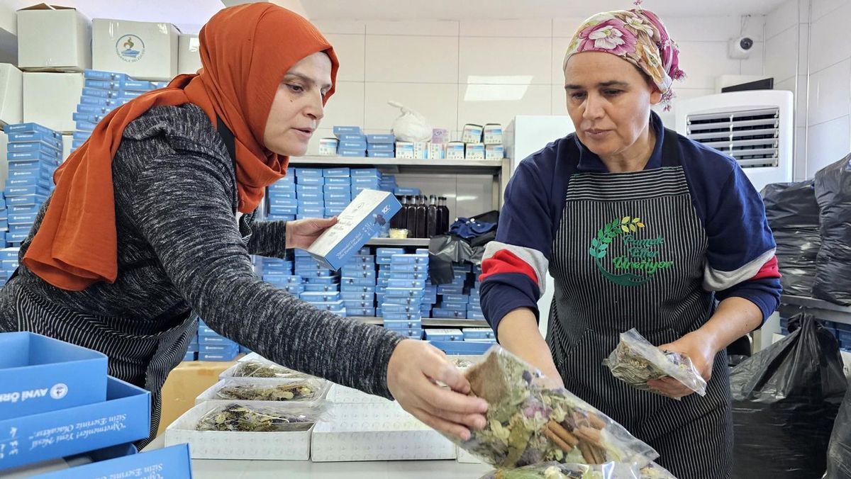 Pamuk Eller Üretiyor Kadın Girişimi Üretim ve İşletme Kooperatifi Resmi Olarak Kuruldu