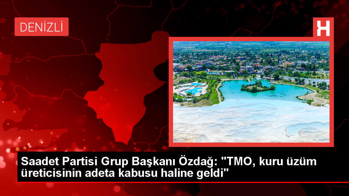 Saadet Partisi Grup Başkanı Selçuk Özdağ, TMO'nun Kuru Üzüm Üreticisini Mağdur Ettiğini İddia Etti