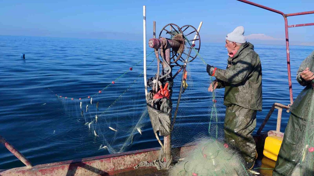 Van Gölü'nde İnci Kefali Avı Devam Ediyor
