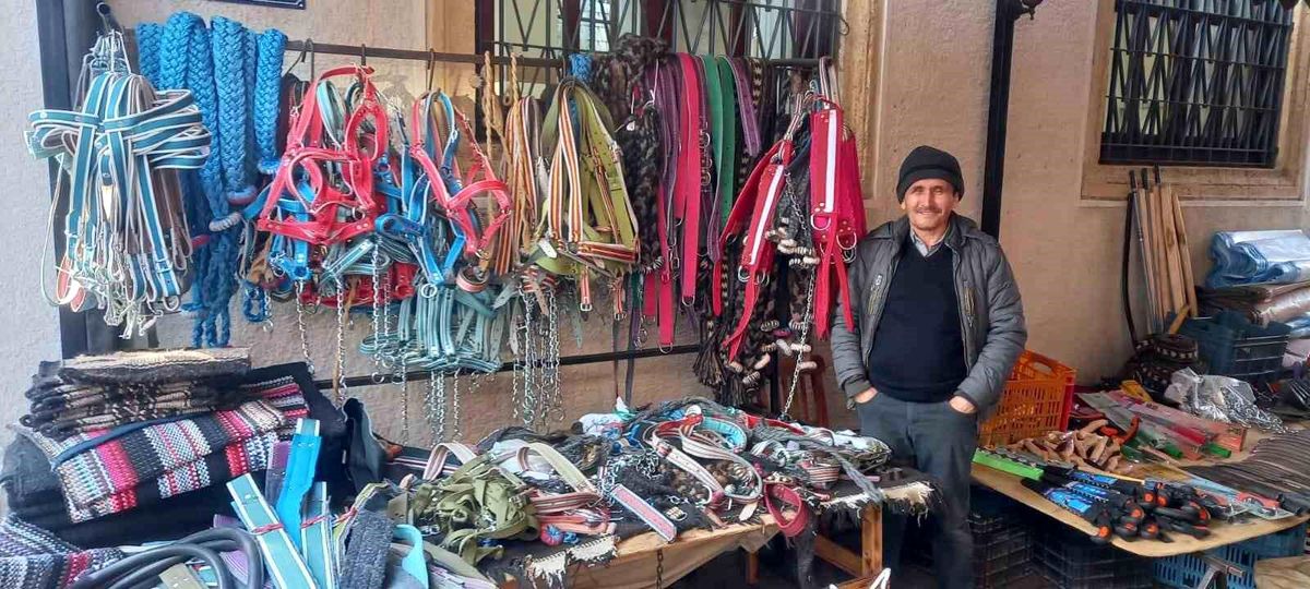 Aydın'da Zeytin Ürününde Durgunluk