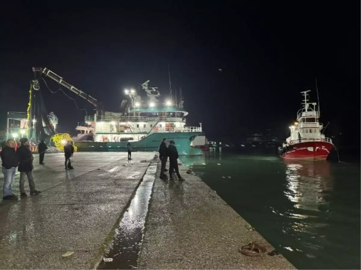 Amasra ve İnkumu'da 300 Ton Hamsi Yakalandı