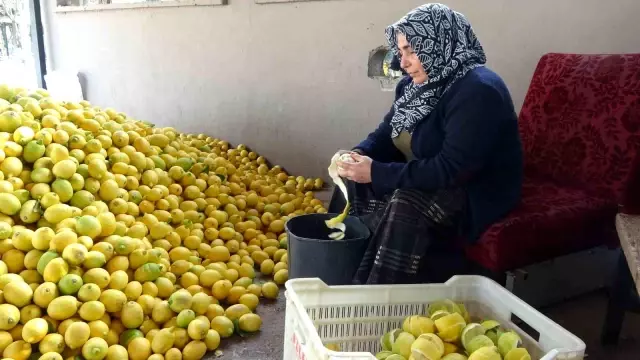 Limonun kendisi para etmeyince kabuğunu satmaya başladılar
