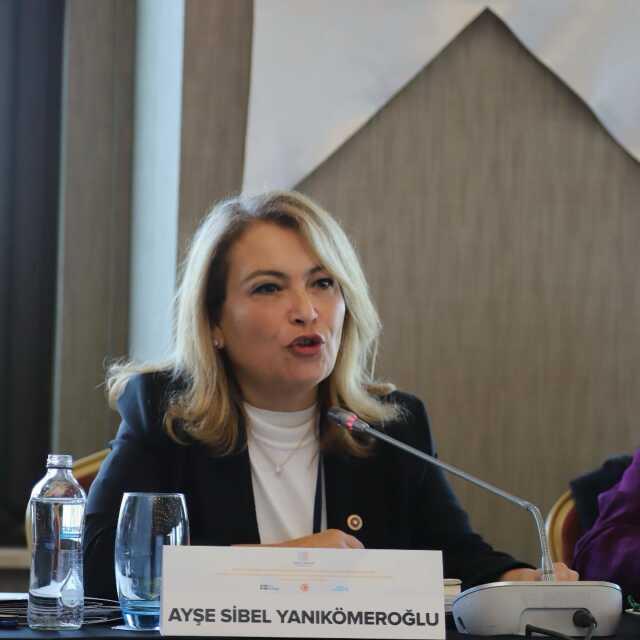 İstanbul Milletvekili Ayşe Sibel Yanıkömeroğlu İYİ Parti'den istifa etti İstanbul Milletvekili Ayşe Sibel Yanıkömeroğlu İYİ Parti'den istifa etti