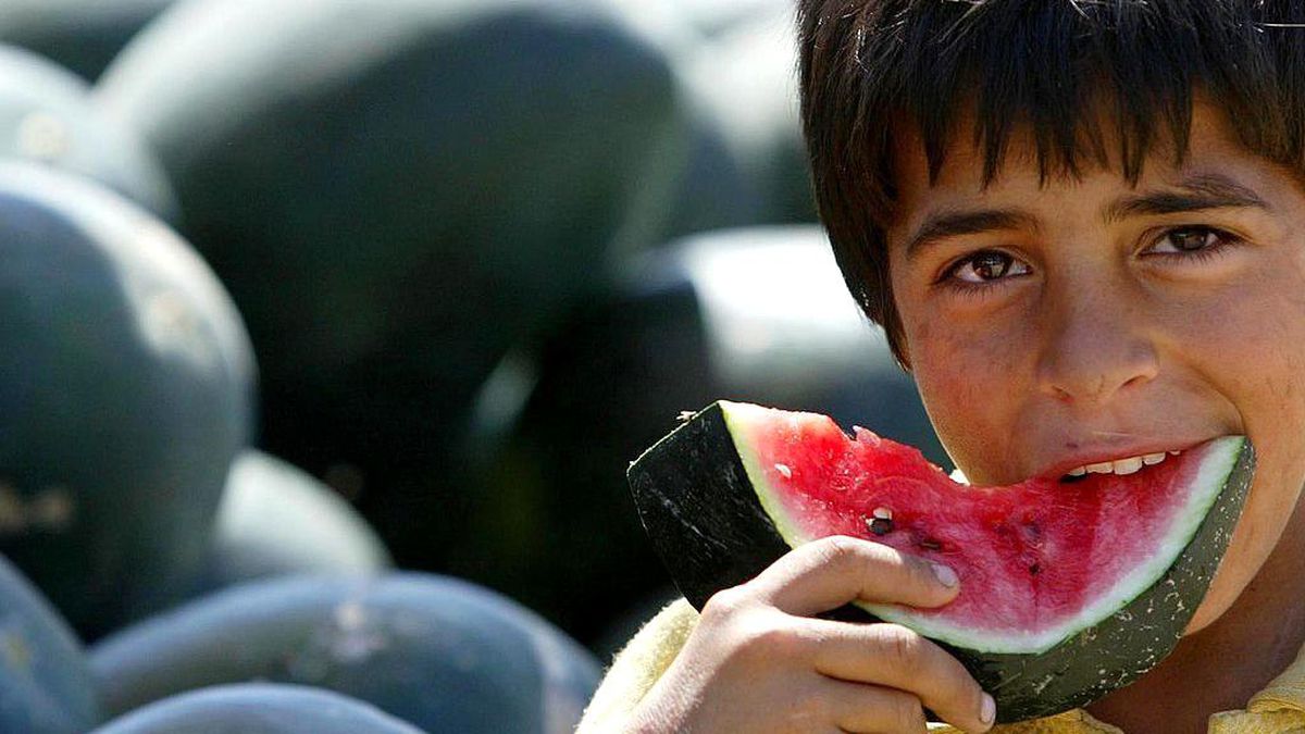 Filistin'de Karpuz Dilimleri Filistin Bayrağının Sembolü Haline Geldi