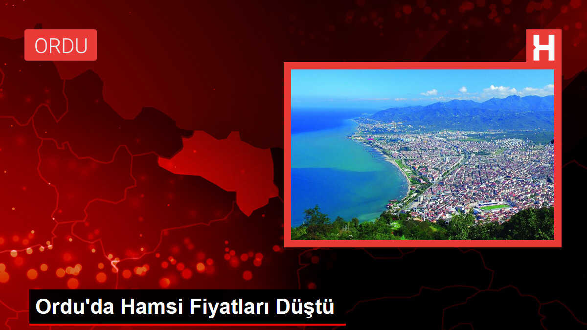 Ordu'da Hamsi Fiyatları Düştü