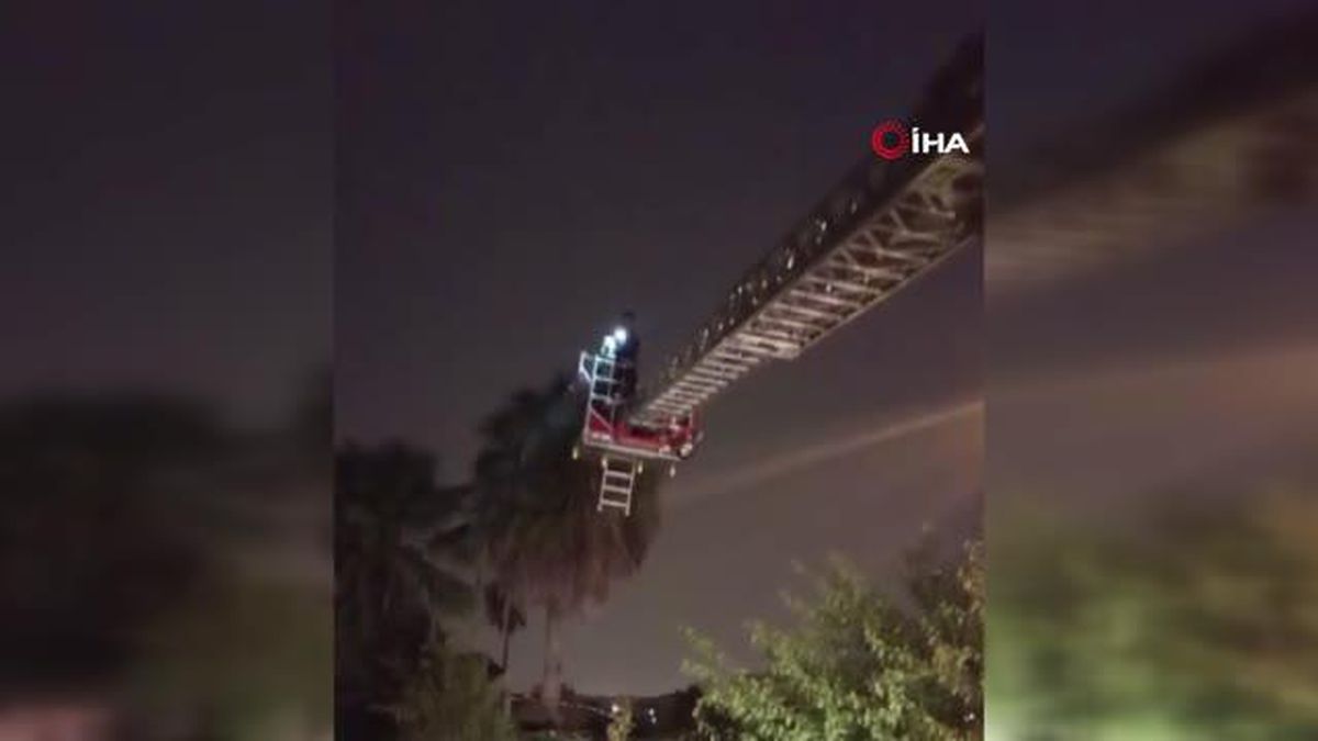 Antakya'da mahsur kalan kedi itfaiye ekipleri tarafından kurtarıldı