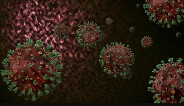 Pnömoni virüsü nedir, belirtileri neler? Pnömoni virüsü hangi ülkelerde var?