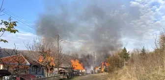 Sinop'ta Yangında Ev, Ahır ve Ambar Küle Döndü