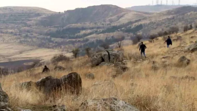 Başıboş köpekler Ankara'da okula giden çocuğa saldırdı