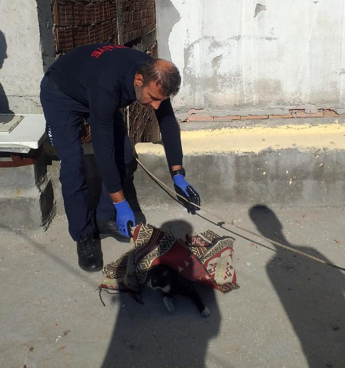 Adıyaman'da Beli Kırık Kedi İtfaiye Tarafından Kurtarıldı