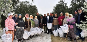 Manisa Büyükşehir Belediyesi, zeytin toplayan işçilere koruyucu malzemeler dağıttı