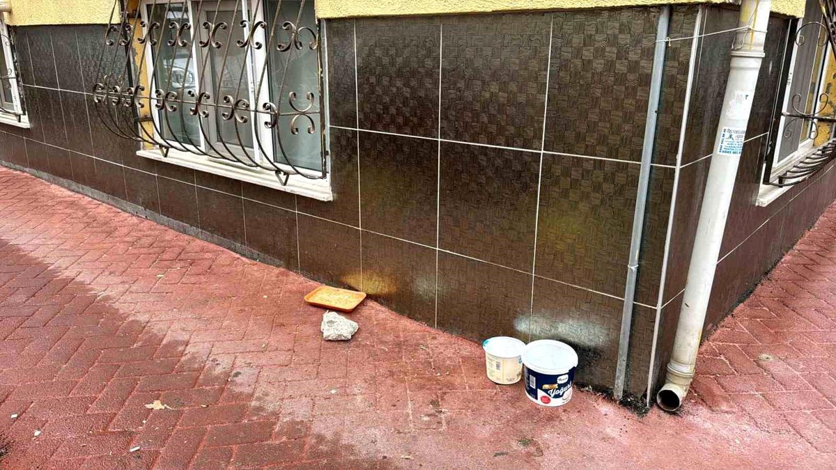 Eskişehir'de Sokakta Hayvan Besleyenlere Tehdit