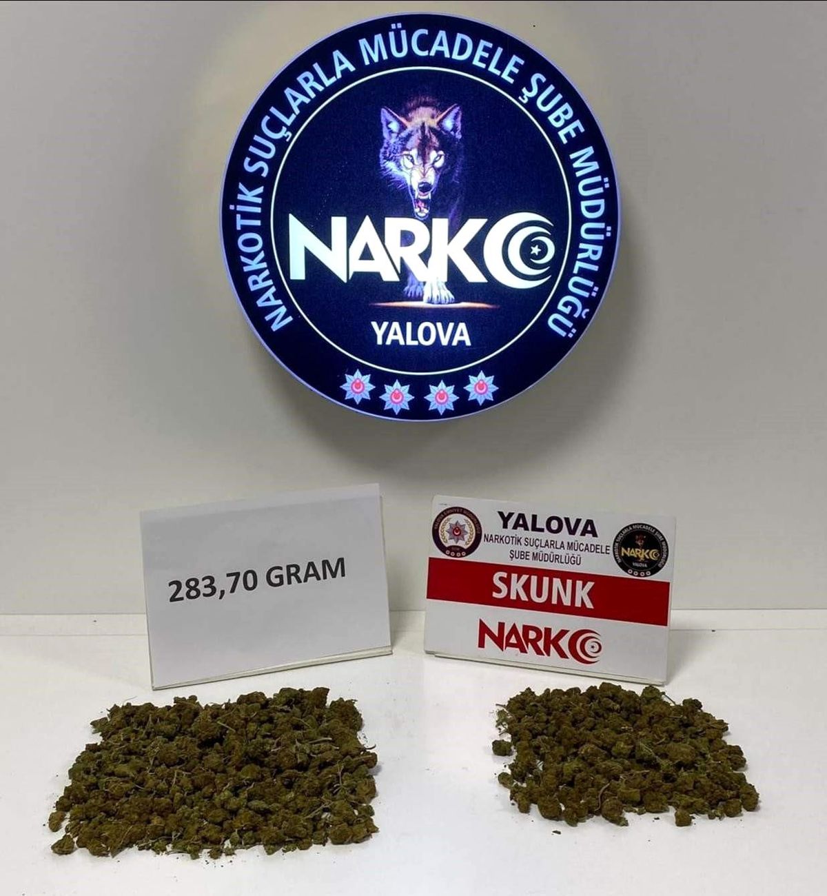Yalova'da Uyuşturucu Operasyonu: 283,70 Gram Skunk Ele Geçirildi