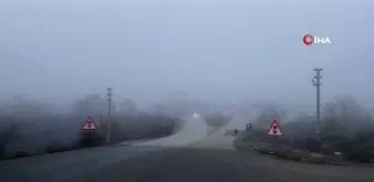 Kastamonu'da yoğun sis etkili oluyor