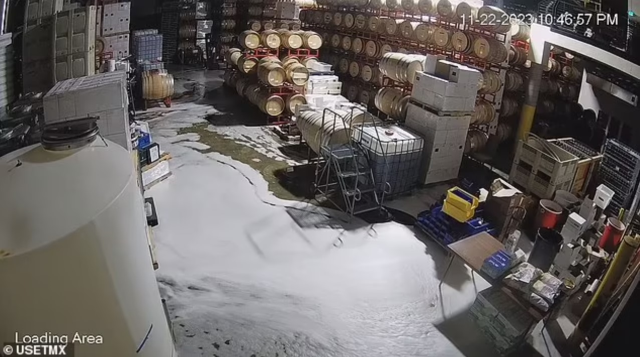 Şarap imalathanesine giren adam 600,000 dolar değerindeki şarabı yere döktü