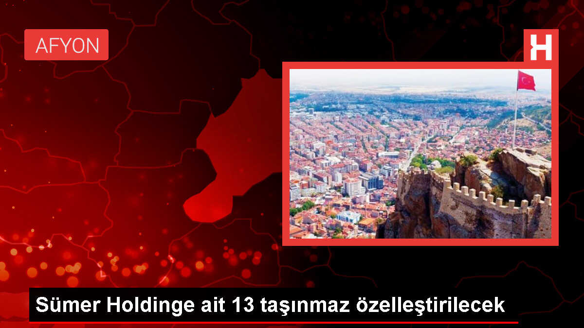 Sümer Holdinge ait 13 taşınmazın ihalesi başlıyor