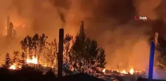 Gebze'deki Kimyasal Depoda Yangın Çıktı