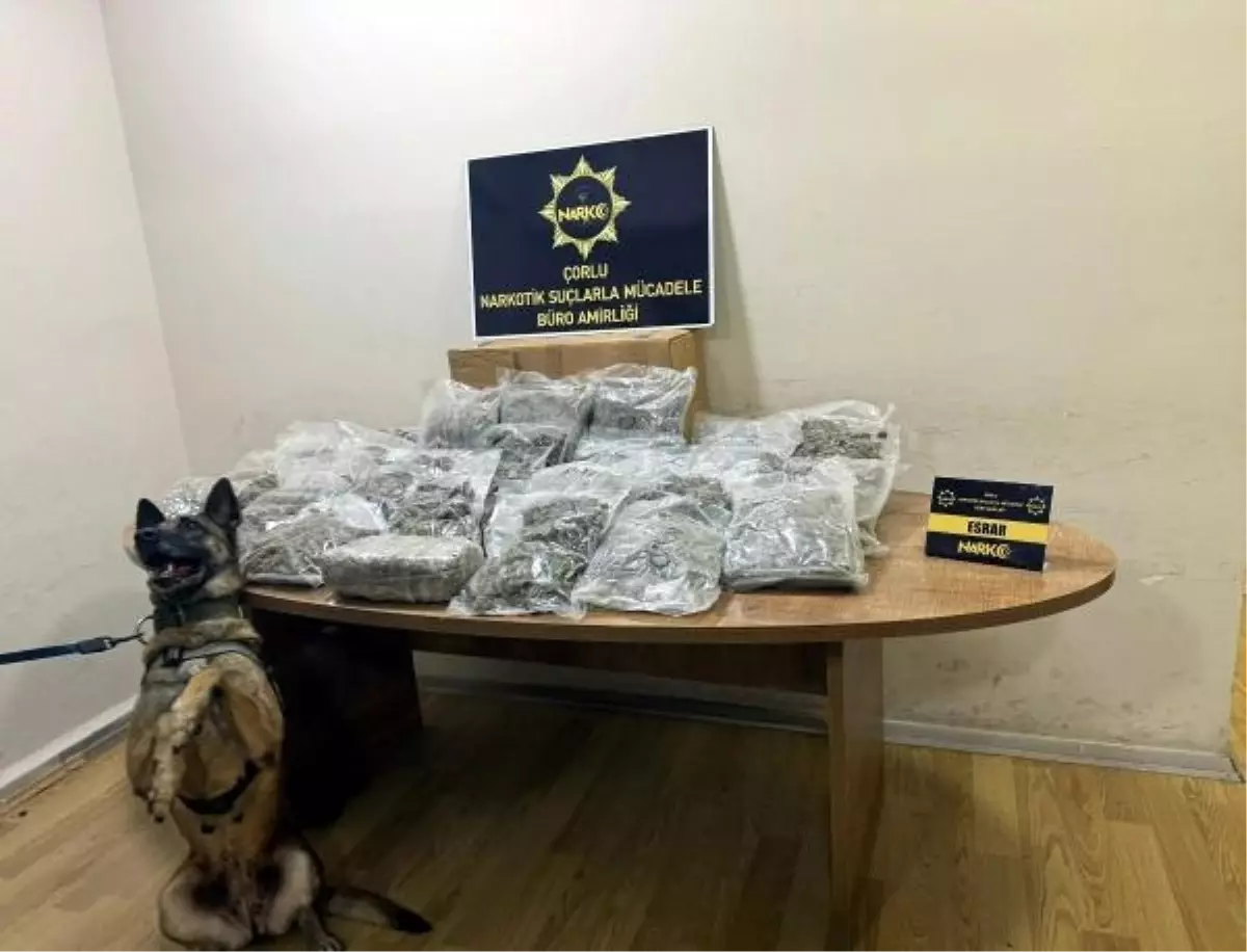 Çorlu'da Manavda Gizlenmiş 15 Kilo Esrar Ele Geçirildi