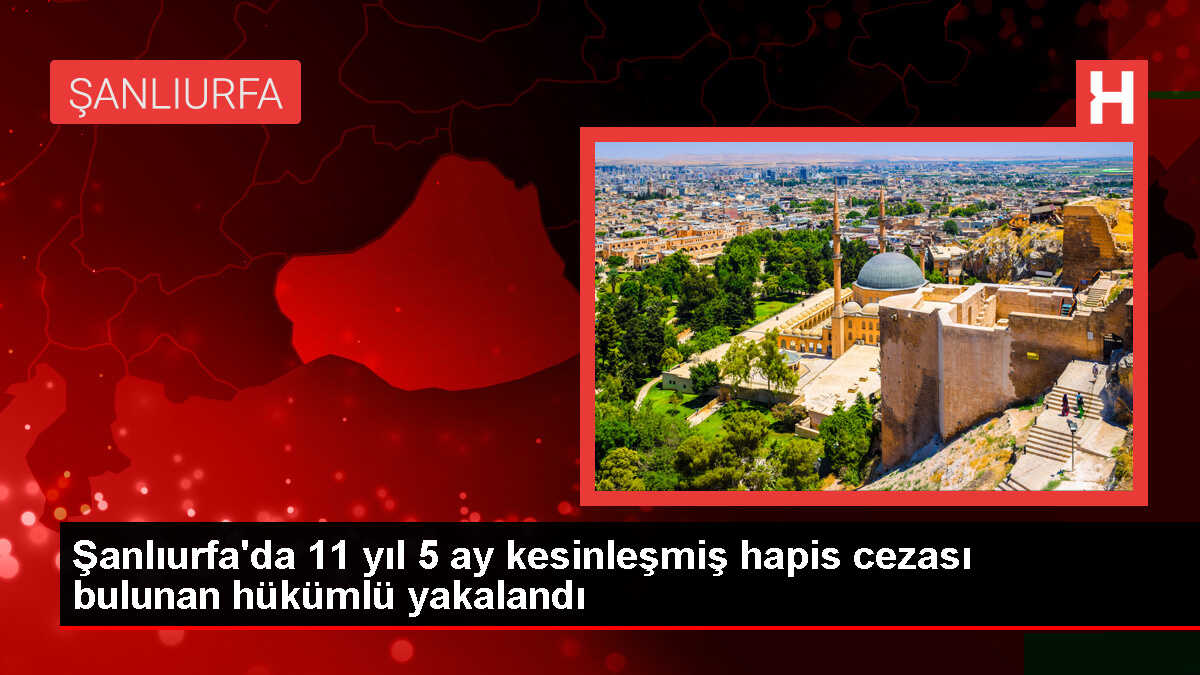 Firari hükümlü Şanlıurfa'da yakalandı