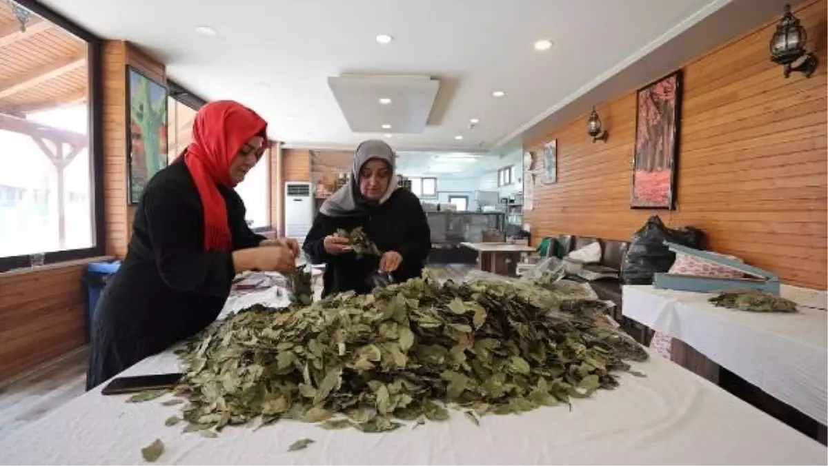 Tarım ve Orman Bakanı Yumaklı, Kadın Kooperatiflerine Destek Verdi