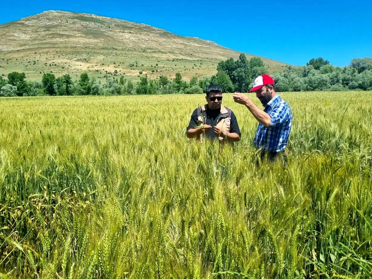 Çiftçi Kayıt Sistemi Yönetmeliğinde Değişiklik: Mülkiyet Sorunu Olan Tarım Arazileri Taahhütname ile Kayıt Altına Alınabilecek