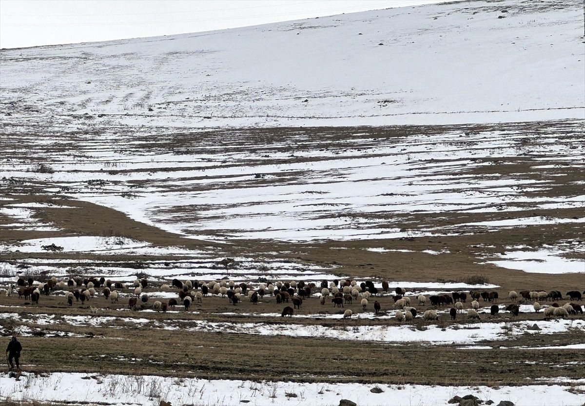 Kars ve Ardahan'da Kar ve Soğuk Hava Etkili