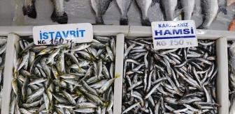 Tekirdağ'da Hamsi ve İstavrit Balığı Tercih Ediliyor