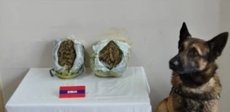 Bolu'da yolcu otobüsünde uyuşturucu maddeyle yakalanan şüpheli tutuklandı