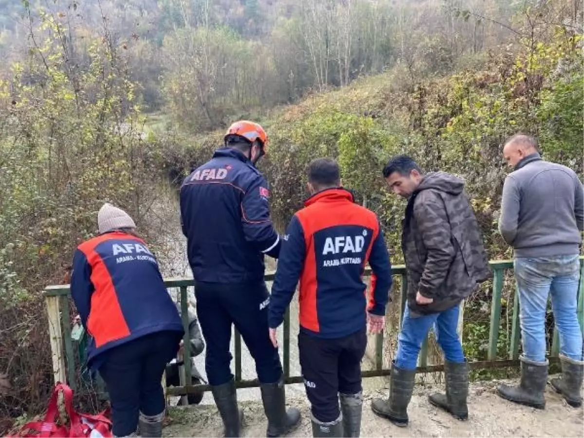 Bartın'da Yükselen Dereye Düşen Karaca Kurtarıldı