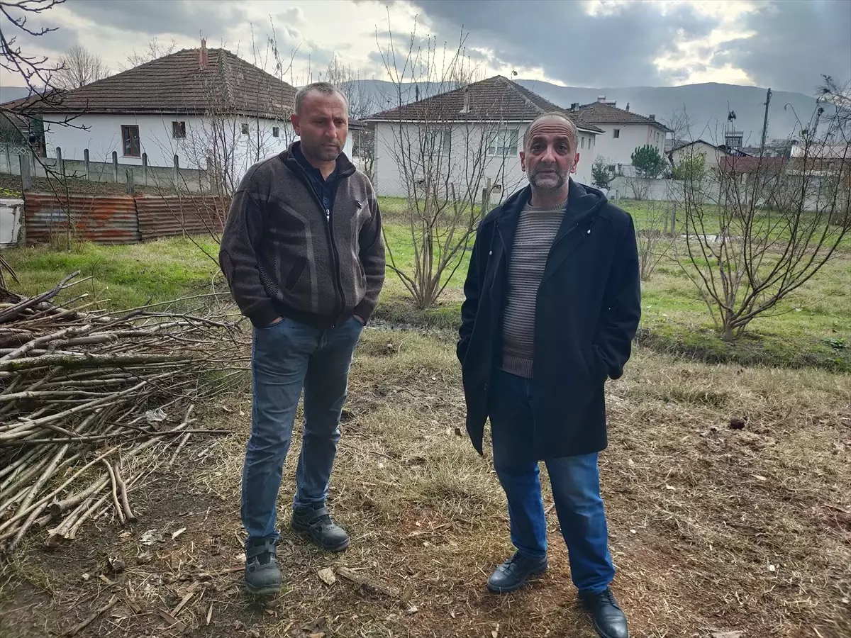 Sahipsiz köpekler ağıla girip hayvanları telef etti