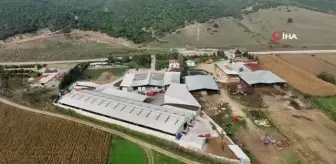 İki kardeş mühendisliği bırakıp çiftlik kurdu