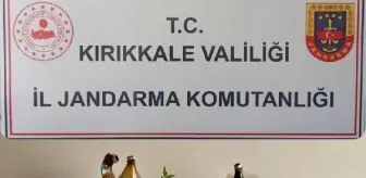 Kırıkkale'de Uyuşturucu Operasyonunda Yakalanan Zanlılardan Birisi Tutuklandı