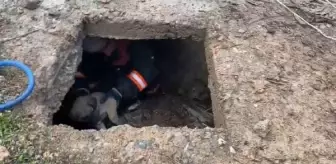 Malatya'da Boş Kuyuya Düşen Yavru Köpek Kurtarıldı