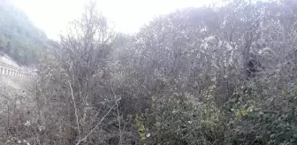 Bolu'da otomobil takla attı: 3 yaralı