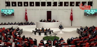 AKP Milletvekili Ali Özkaya, Anayasa Mahkemesi'nin yetkilerini eleştirdi