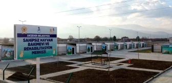 Akşehir'de Sahipsiz Hayvanlar İçin Yeni Bakımevi ve Rehabilitasyon Merkezi İnşa Edildi